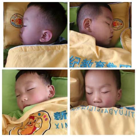 “童”你一起   “幼”见成长——新世纪幼儿园苗一班