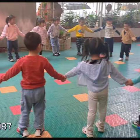 毅南幼儿园中段第12周知识反馈✨