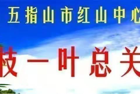 “述”说当下  展望未来——五指山市红山中心学校语文组教师教学述评简报