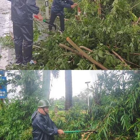 陵水县民政局双线发力 助力灾后恢复秩序