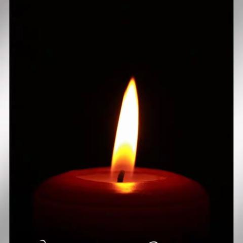 心中的挚爱，永远的怀念——谨以此纪念爱犬布丁