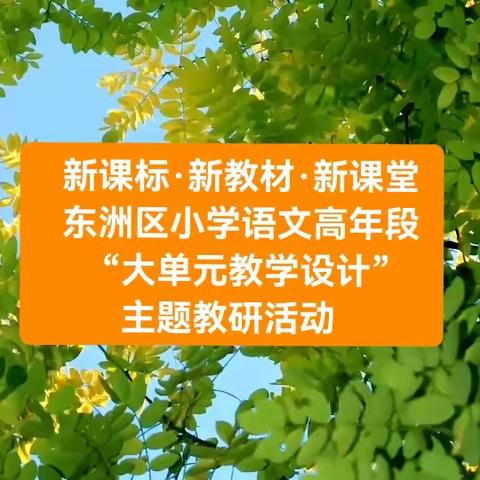 新课标·新教材·新课堂——东洲区小学语文高年段“大单元教学设计”主题教研活动