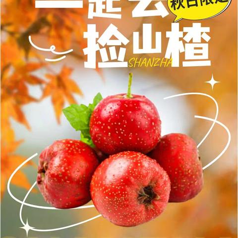 秋日限定！让我们来一场“捡山楂研学”之旅
