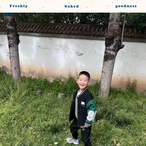 司竹镇中心幼儿园大班组第八周活动纪实