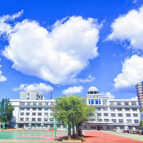 实验小学一年级阳光分班公告