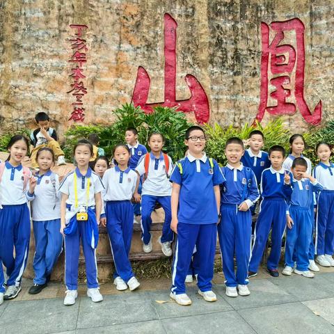 凤凰山 童行时光——与春天共舞 同学们的春日撒欢之旅