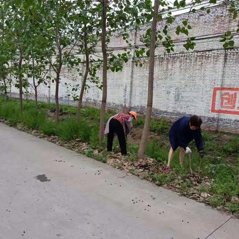 钓台营村：干群一心，提质增颜