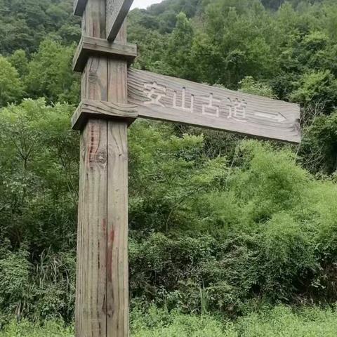 新昌安山古道之旅