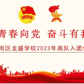 青春向党 奋斗有我——龙盛学校2023年离队入团仪式