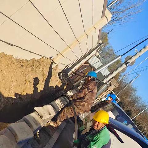 树民生、保冬运