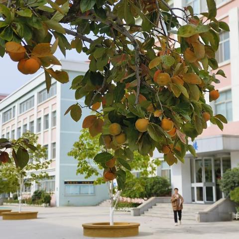 「校园主题」第五辑——威海市第二实验小学2023级5班