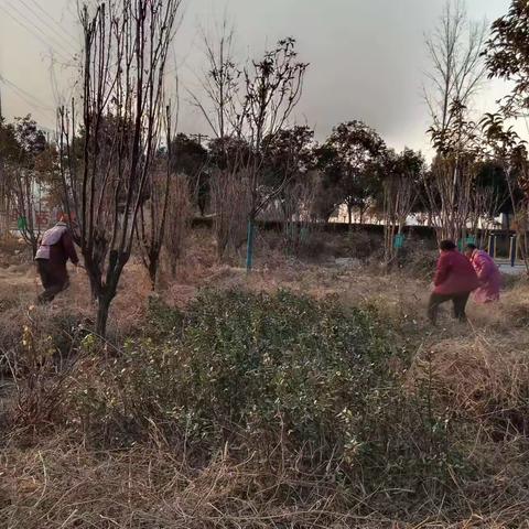 七贤镇佐眼村人居环境整治