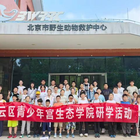 探秘野生生灵 守护生态家园 —北京青少年创新学院密云分院生态学院赴北京市野生动物救护中心开展研学实践活动