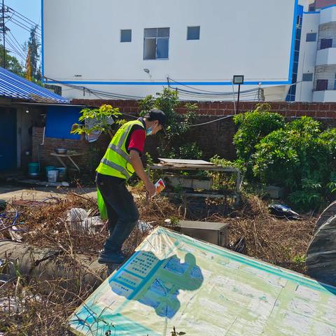 2024年10月13日万尾实训场红火蚁消杀施工图片