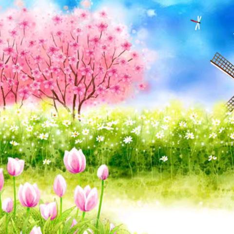 百合山花园物业服务中心工作周报