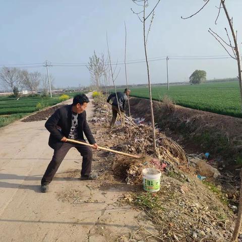 碑桥村：环境整治再发力 人居环境再提升