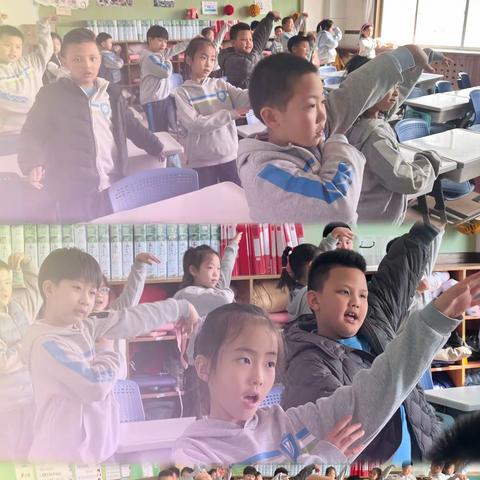 「动物主题」第三辑——威海市第二实验小学2023级8班