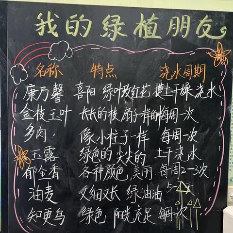 「植物主题」第二辑——威海市第二实验小学2023级8班