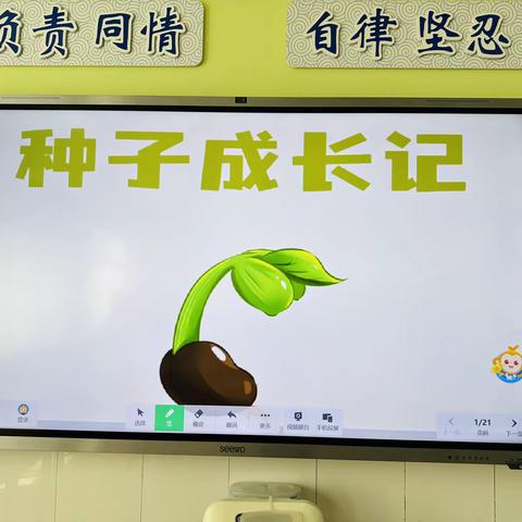 「植物主题」第四辑——威海市第二实验小学2023级10班