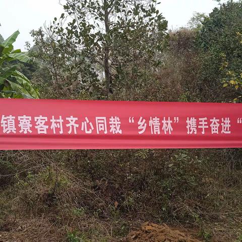 党建引领，植树绿化——学校、村委会党员联合植树活动