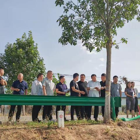 肥乡区人大常委会开展防洪工程体系建设联动监督视察活动