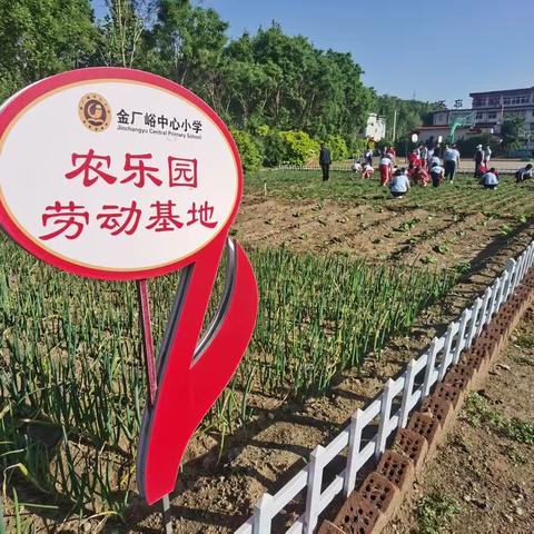 农乐园里劳动忙，我和苗儿共成长——迁西县金厂峪中心小学开展农乐园锄草班级对抗赛