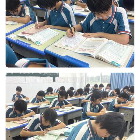 纸上展“英”彩 笔下生夏花 ‍二初东校英语书法大赛