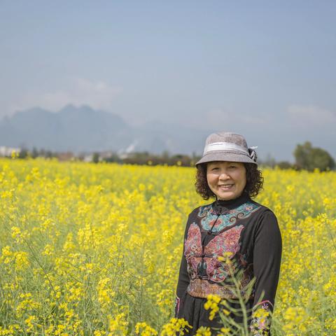 肖琳灵川县潭下镇新桥村油菜花影集