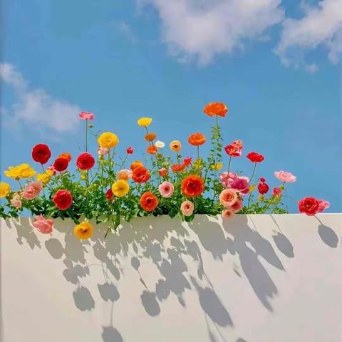 春日花礼 情暖三八——四6班三八妇女节手工活动