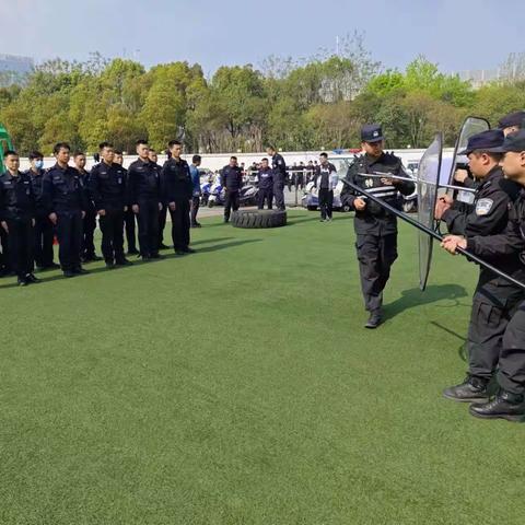我的简篇