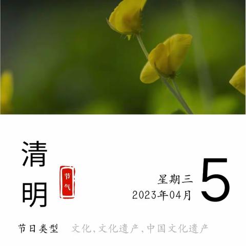 气清景明 不负春光——利川第二民族实验小学 二零七班赵哲瀚之清明节气实践活动