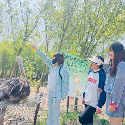 活力春日🌸 焕发生机                                     ——像孩子一样做项目