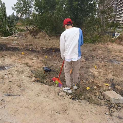 东方市交通运输局集中开展春节前病媒生物防制除“四害”专项整治活动