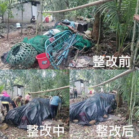 龙华区龙桥镇农村人居环境“夏季战役”专项行动第二十五轮整治