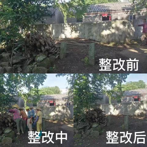 龙华区龙桥镇农村人居环境“夏季战役”专项行动第二十六轮整治