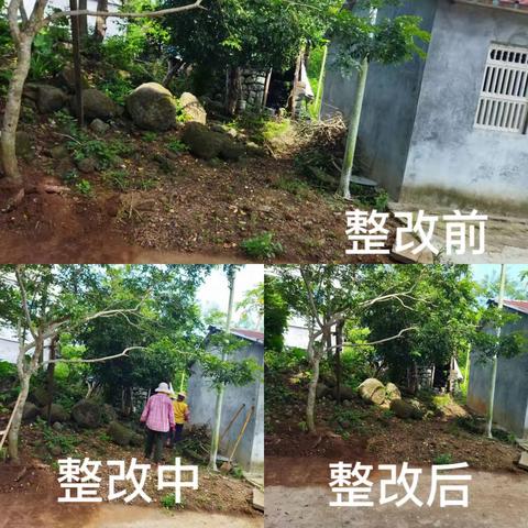 龙华区龙桥镇持续开展农村人居环境夏季战役专项行动