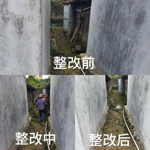 龙华区龙桥镇持续开展农村人居环境夏季战役专项行动