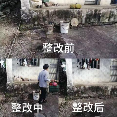 龙华区龙桥镇持续开展农村人居环境夏季战役专项行动