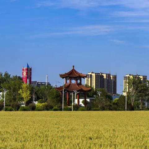 窦店摄影家协会2024年工作总结