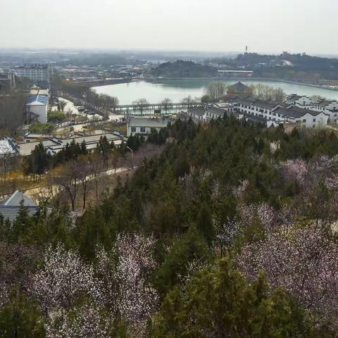 春韵：龙门生态园春花绽放