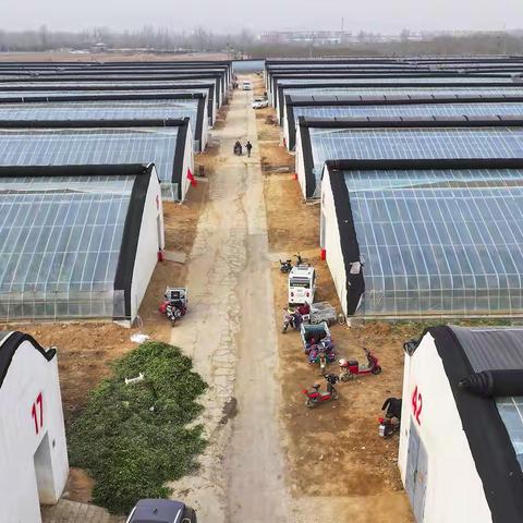 游家坟农业合作社生产纪实