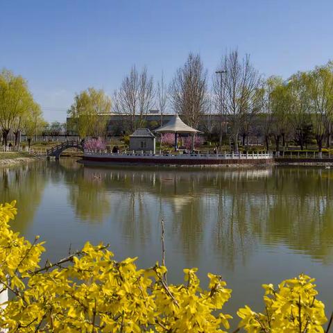 春漾窦店村公园：一场与自然的浪漫邂逅