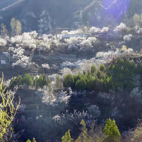 山径寻春 ——六石路