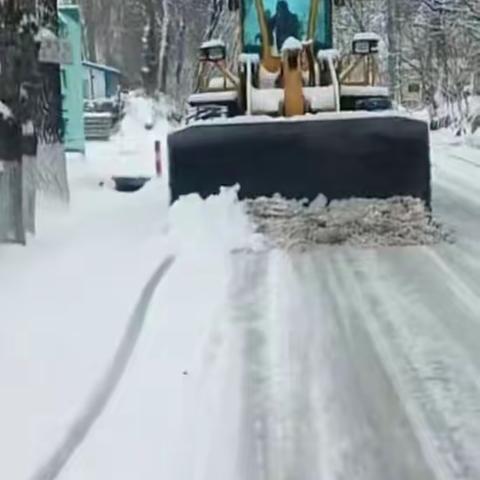 尽管寒风凛冽，但扫雪师们的热情不减。他们默默地付出着，为了让市民能够安全出行，方便生活。在这场扫雪大战中，没有抱怨和怨言，只有责任和奉献。