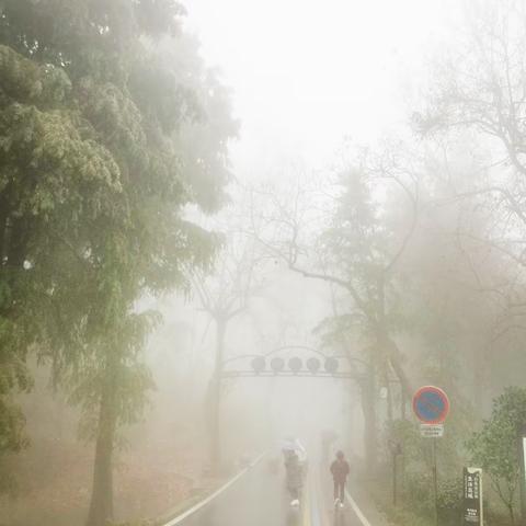 鸡公山的雨雾 云海 雾凇 冰挂