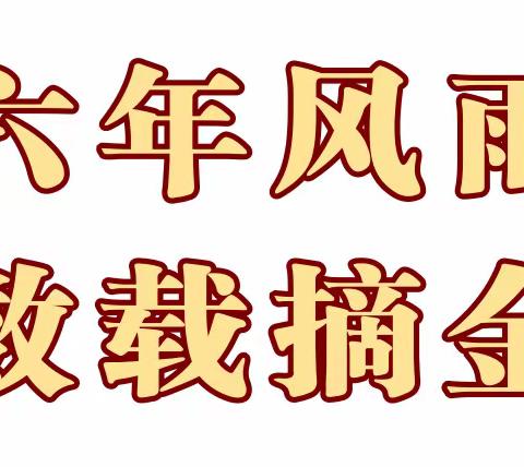 协会六年风雨兼程 学员数载摘金夺银