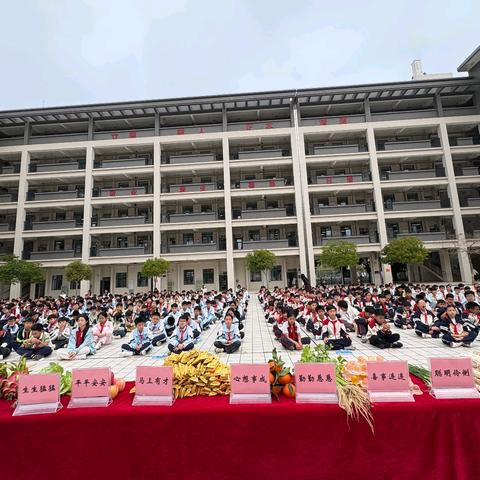 向阳草木青，花开入学来 ——吴川市海滨街道清源小学2026年春季开学纪实