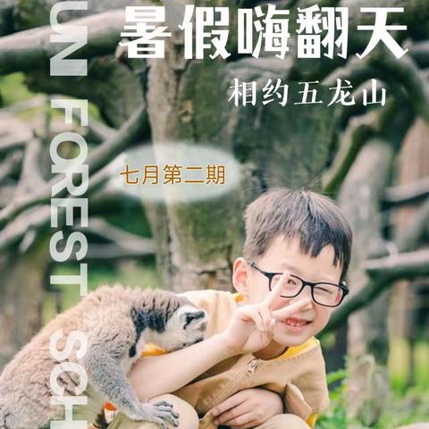 🐶🐰🙈暑假嗨翻天🐒🐯🦁相约五龙山🐴🦘🐆|主题夏令营