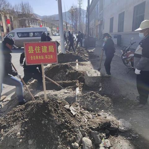 称多县住建局2023年春季义务植树活动