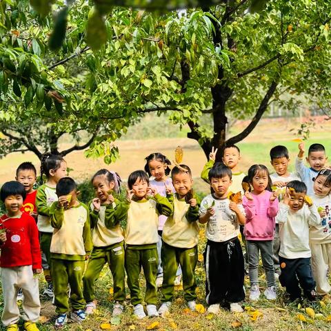 蓝天大地幼儿园中二班生活化课程《一叶知秋》